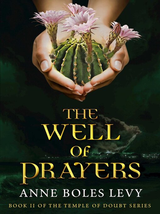 Title details for The Well of Prayers by Anne Boles Levy - Wait list